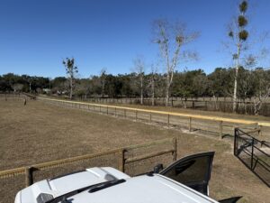 wide view of pasture enclosed with 4 board wood fencing