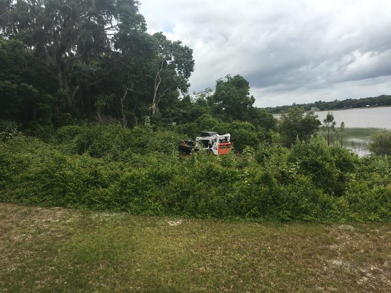 Land clearing and brush removal project in North Central Florida by Southern Pro Fence & Gate